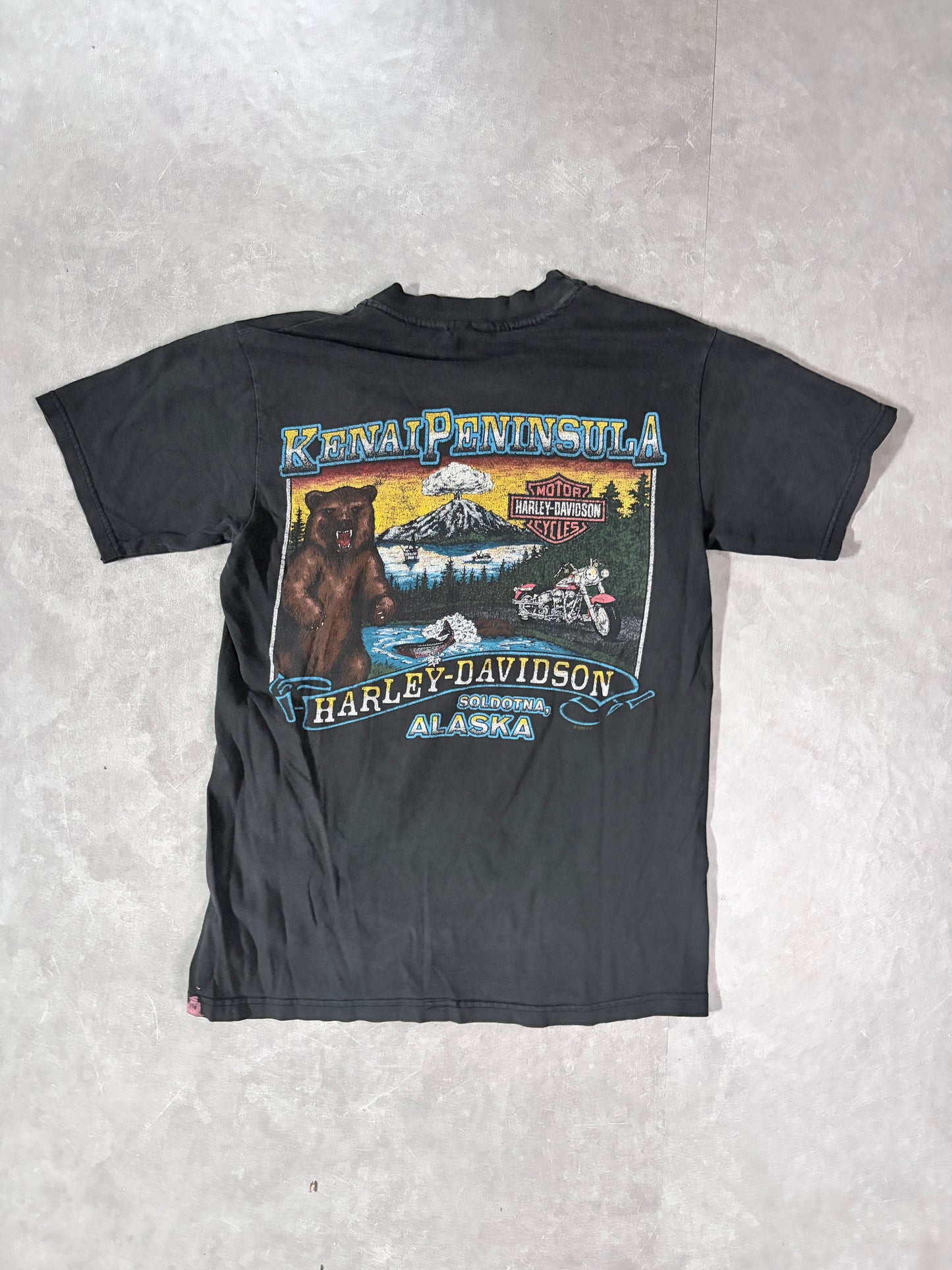 90s Vintage Harley Davidson Nature Alaska Faded Black T-Shirt -S