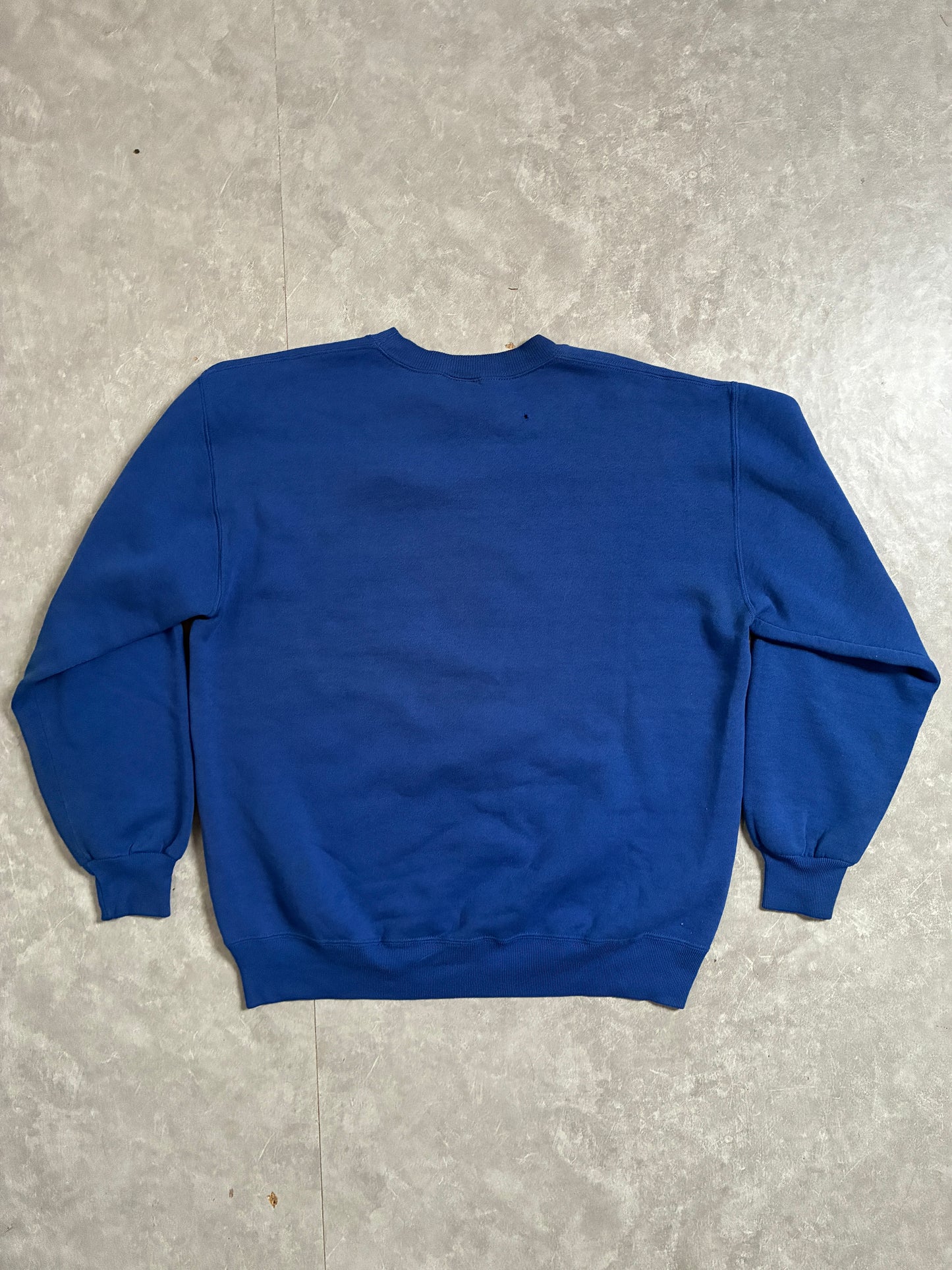 90s Vintage Florida Gators Flock Print Blue Crewneck -L