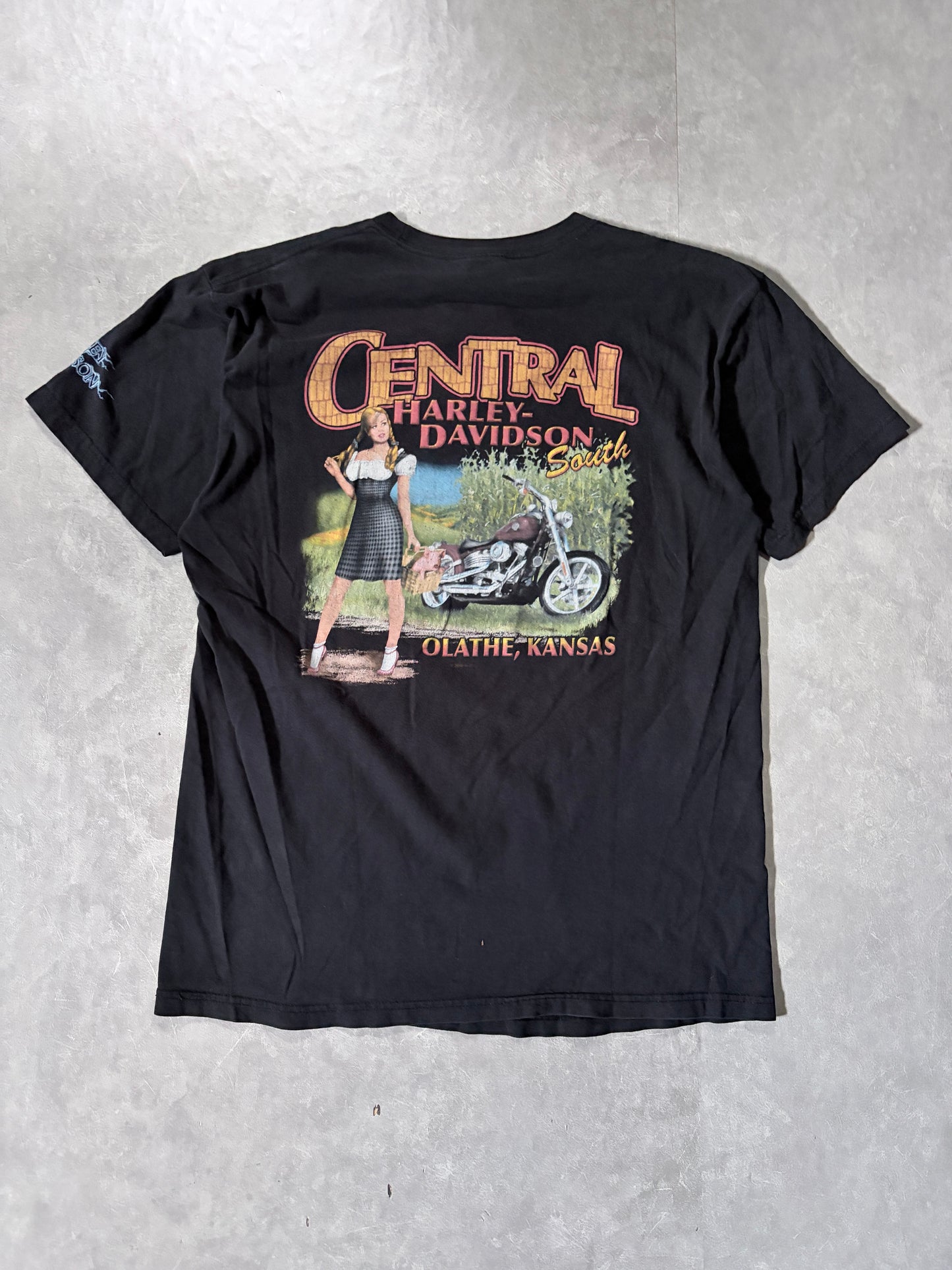 90s Vintage Harley Davidson Call of the Wild Faded Black T-Shirt -L