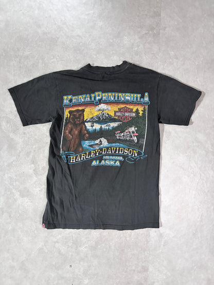 90s Vintage Harley Davidson Nature Alaska Faded Black T-Shirt -S