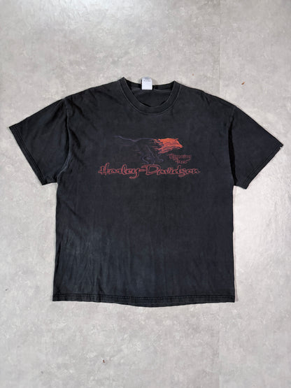2000's Vintage Harley Davidson Black T-Shirt Full Front View