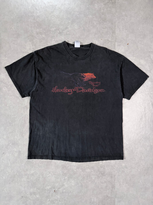 2000's Vintage Harley Davidson Black T-Shirt Full Front View
