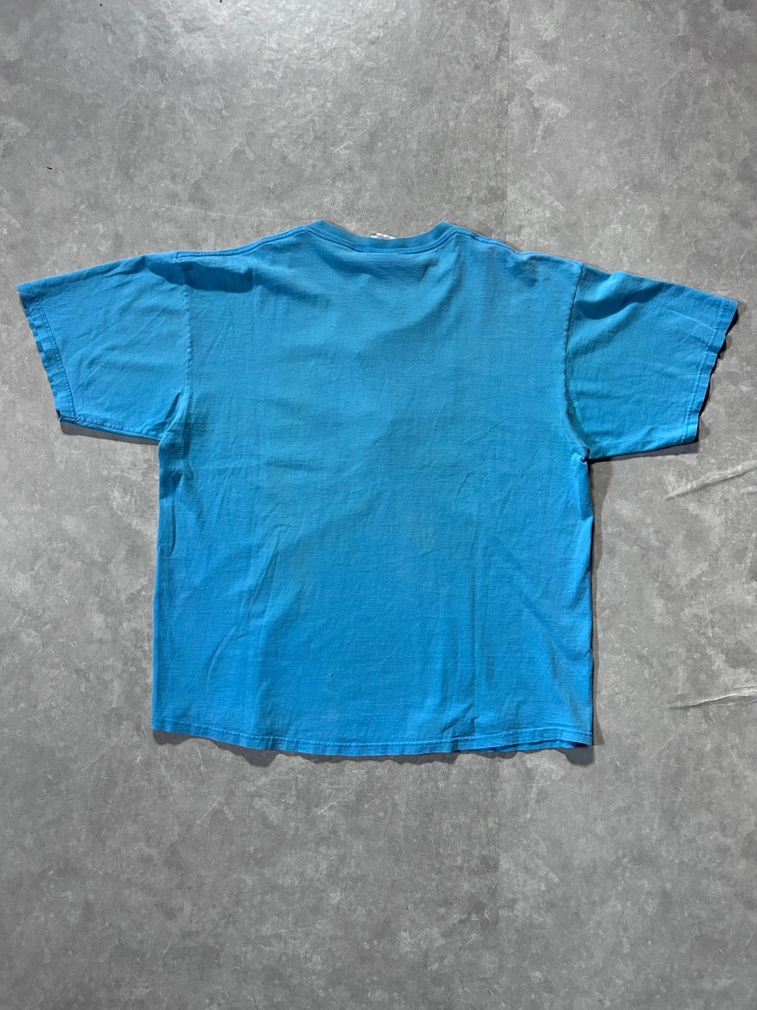 90s Vintage Caroline Panthers Baby Blue Embroidered T Shirt Size XXL - XXL | Martin City Vintage