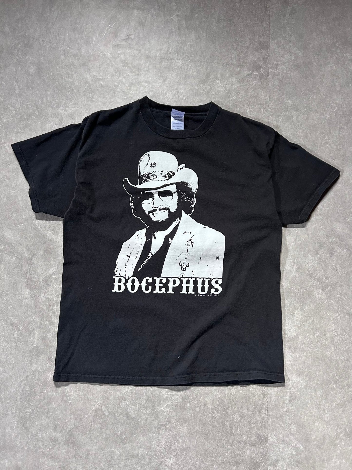 2004 Vintage Hank Williams Jr. Kiss My *** Black Country T Shirt Size L - L | Martin City Vintage