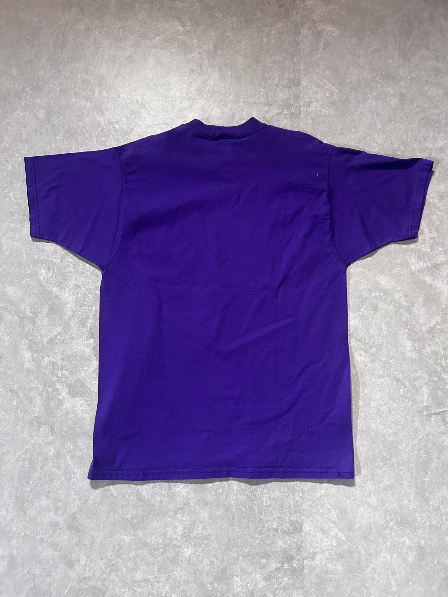 90s Vintage Minnesota Vikings Pro Player Purple T Shirt Size L - L | Martin City Vintage