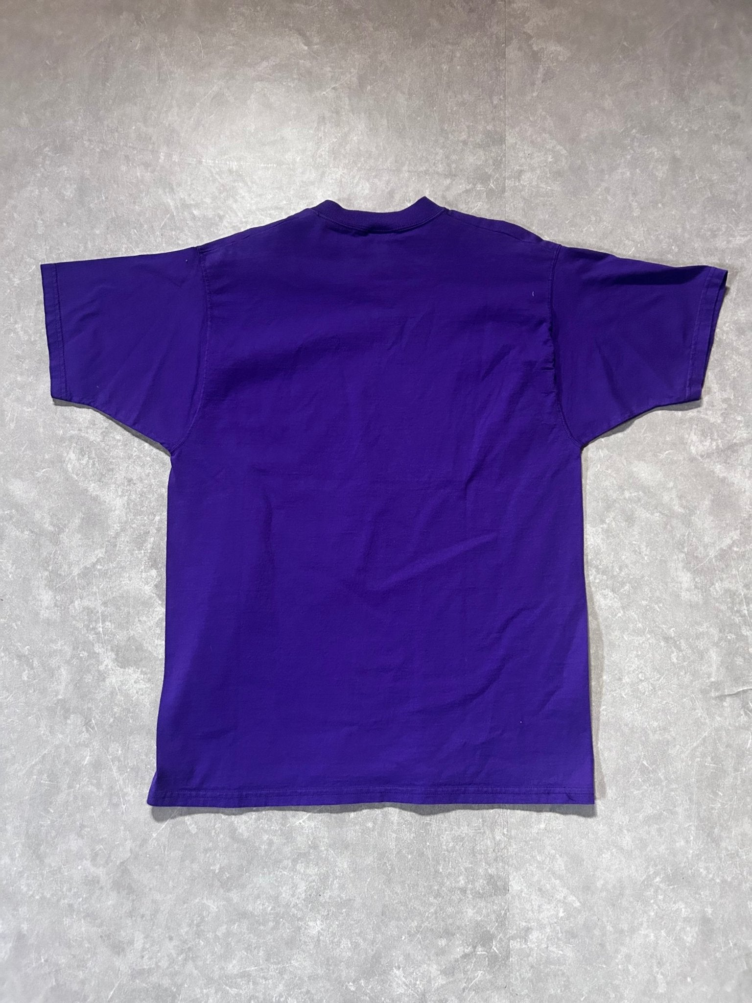 90s Vintage Minnesota Vikings Pro Player Purple T Shirt Size L - L | Martin City Vintage