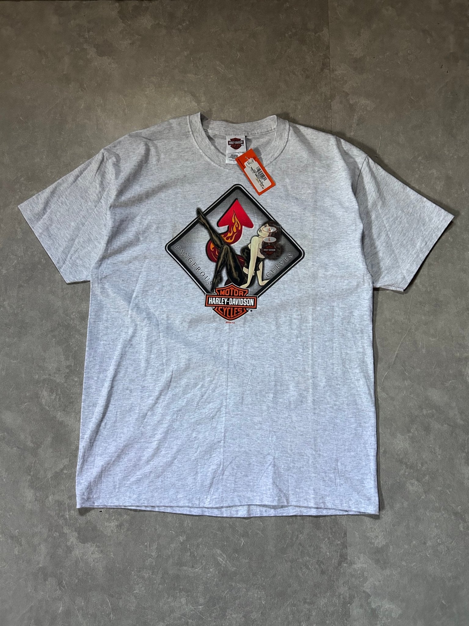 2000s Vintage Harley Davidson Dangerous Curves Deadstock Heather Gray T Shirt Size L - L | Martin City Vintage