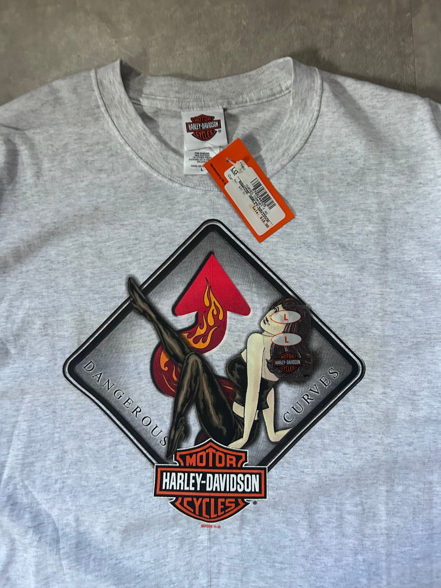 2000s Vintage Harley Davidson Dangerous Curves Deadstock Heather Gray T Shirt Size L - L | Martin City Vintage