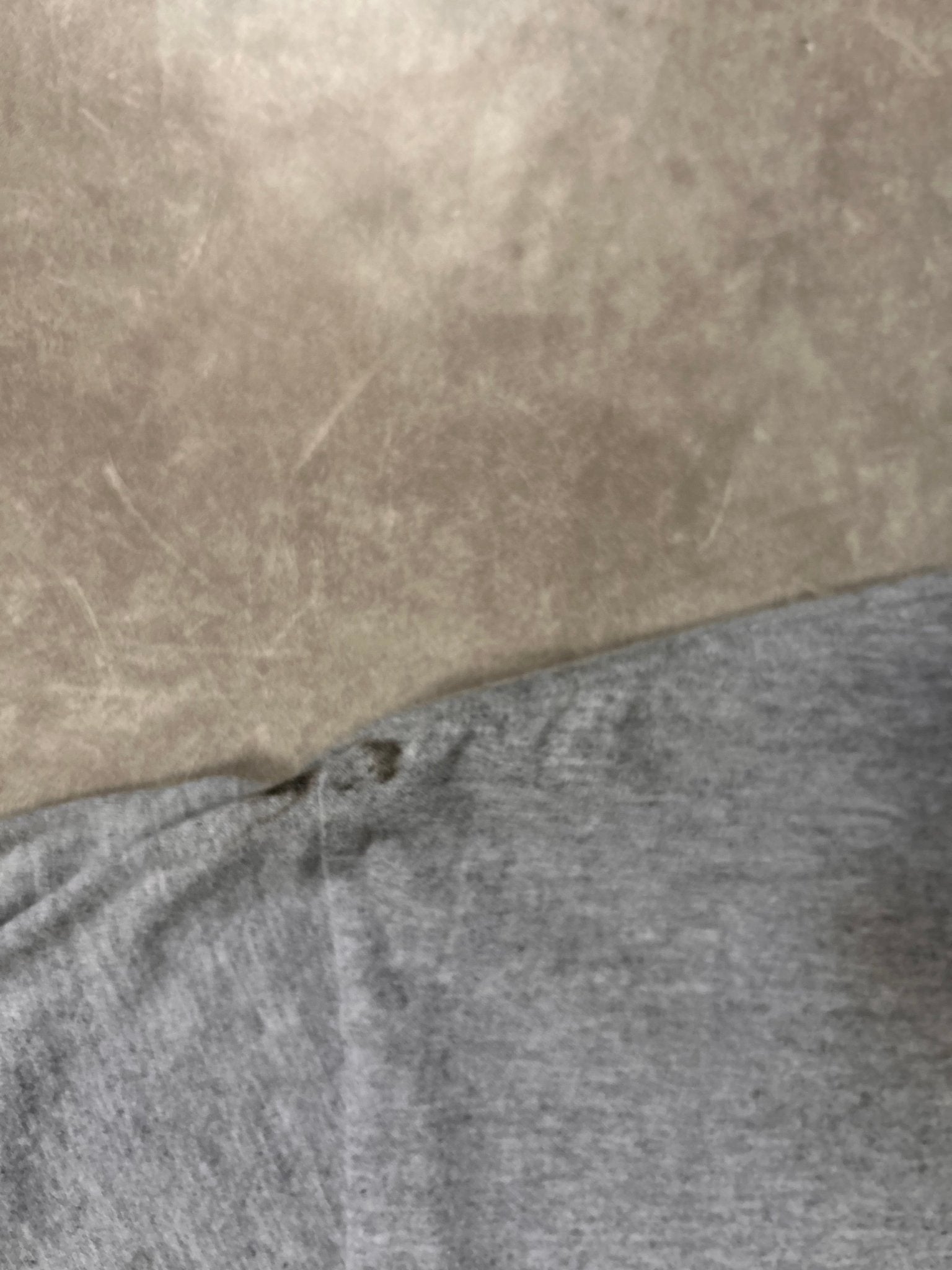 2000's Vintage Oklahoma Sooners SpongeBob SquarePants Grey T-Shirt - L - L | Martin City Vintage